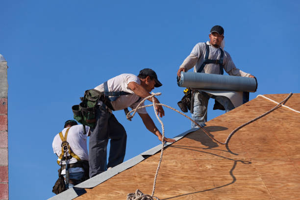 Best Emergency Roof Repair  in Ledbetter, KY